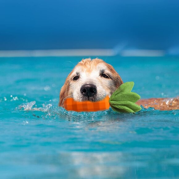 Dog Squeaky Chew Toys for Aggressive Chewers, Rubber Carrot Dog Toys for Trainin - Picture 5 of 6